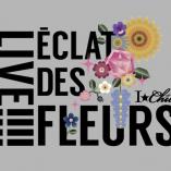 I-Chu Project - Live!!!! I-Chu The Stage - Éclat des fleurs