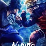 Live Spectacle Naruto - Shinobi no ikiru michi