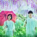 Kotonoha no Niwa - The Garden of Words