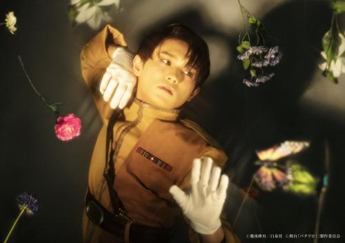 Motohisa Harashima : Tamanegi