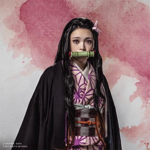 Akari Takaishi : Nezuko Kamado