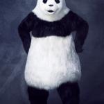 Takeshi Terayama : Panda